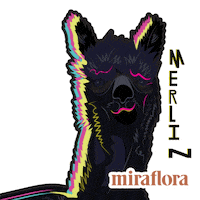 Merlin Alpaca Sticker by Miraflora.co