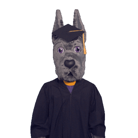 Graduation Damien Sticker by UAlbany
