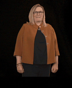 fdpfraktionlsa giphyupload fdplsa tarricone ktarricone GIF