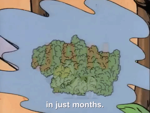 rockos modern life nicksplat GIF