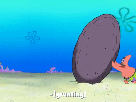 season 8 GIF by SpongeBob SquarePants