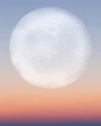 Art Loop GIF