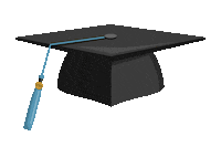 School Batten Sticker by University of Virginia