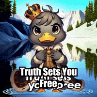 Wisdom GIF by sirduckbeth