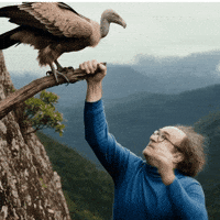 Bird Mountain GIF by Fiverr