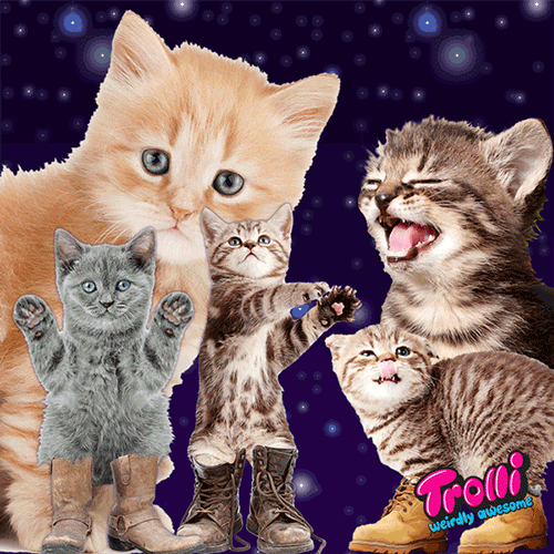 cat candy GIF by Trolli