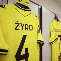 Football Soccer GIF by Widzew Łódź