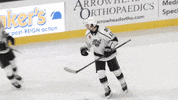 GIF by Ontario Reign