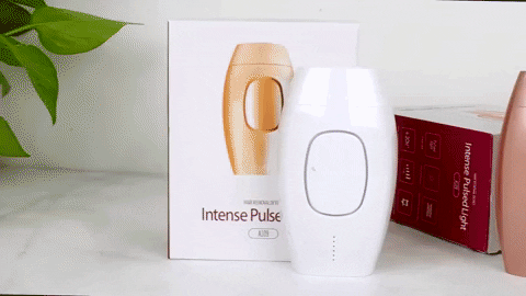 Gabirobeira giphyupload GIF