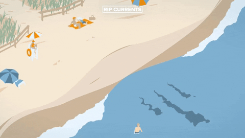 jbjimbo giphyupload GIF