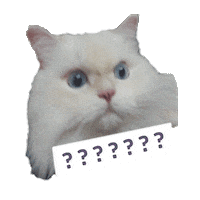 happycatvancouver happy cat wtf happycat Sticker