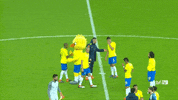 selecao brasileira GIF by Confederação Brasileira de Futebol
