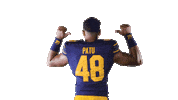 Ncaa Football Go Bears Sticker by Cal Athletics