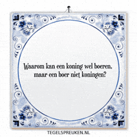Humor Wijsheid GIF by Tegelspreuken.nl