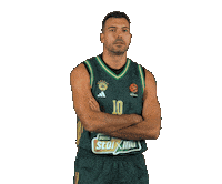 Kostas Sloukas Pao Sticker by Panathinaikos BC