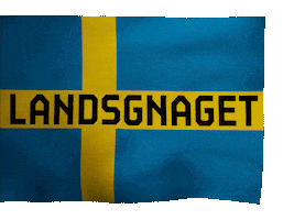 Sweden Flag Sticker by Biblioteksgatan 8