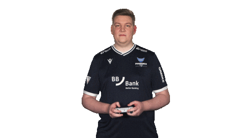 Karlsruher Sc Vbl Sticker by Bundesliga