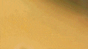 Meat Market Grocery GIF by La Michoacana Meat Market