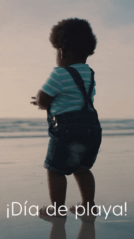 Happy Beach Day GIF by Sealed With A GIF
