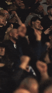 West Brom Wba GIF by West Bromwich Albion