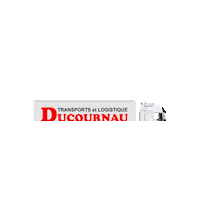 D Truck Sticker by DUCOURNAU