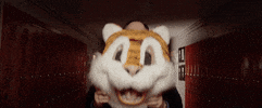dennis haskins vacation GIF by Dirty Heads