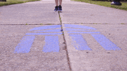 lu lancer GIF by Longwood University