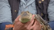 Food Rachel GIF by Rachael Ray Show