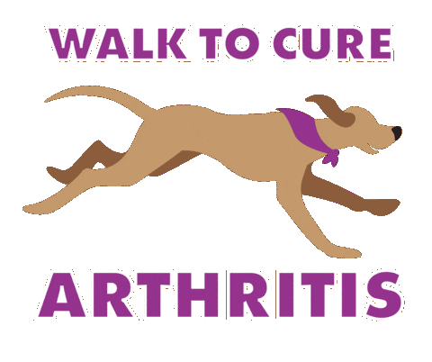 Dog Walk Sticker by Arthritis Foundation