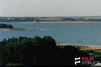 ingmar bergman 80s GIF by FilmStruck