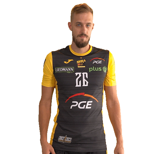 Belchatow Sticker by PGE Skra Bełchatów