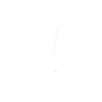 New Amsterdam Sticker by New Amsterdam Surf Association