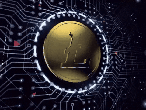Crypto Circuit GIF by Litecoin