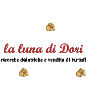 Eat Into The Wild Sticker