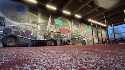 Martial Arts Mma GIF by Casol