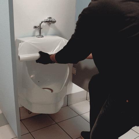 SadiefromEquiparts giphyupload out of order out of service toilet cover GIF
