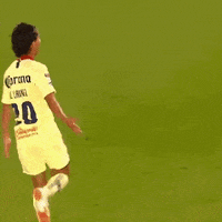 happy liga mx GIF by Club America
