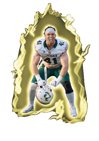 DolphinsAncona giphyupload football beast american football Sticker