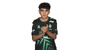 Werder Bremen Applause Sticker by Bundesliga