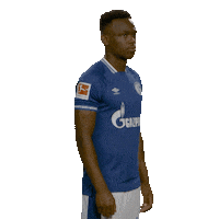 Posing Line Up Sticker by Bundesliga