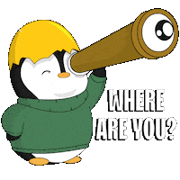 Looking Where Are You Sticker by Pudgy Penguins