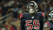National Football League GIF by Houston Texans