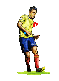 Colombia Falcao Sticker by Copa América