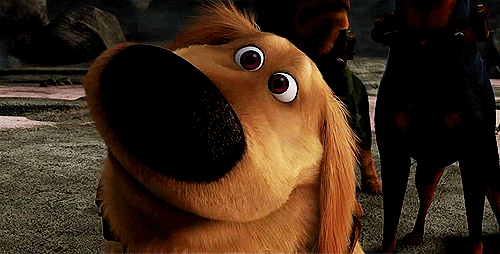 Disney gif. Doug from The Secret Life of Pets sits patiently, wagging his tail and blinking.