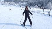 Youtube Skiing GIF by tyler oakley