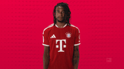 Fc Bayern Football GIF by Bundesliga
