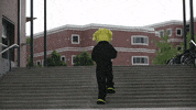 Wu_Shock wu wsu wushock shockers GIF