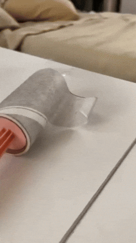 abrilteves giphyupload GIF