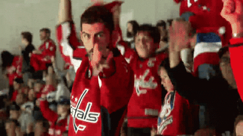 Ice Hockey Yes GIF by Capitals
