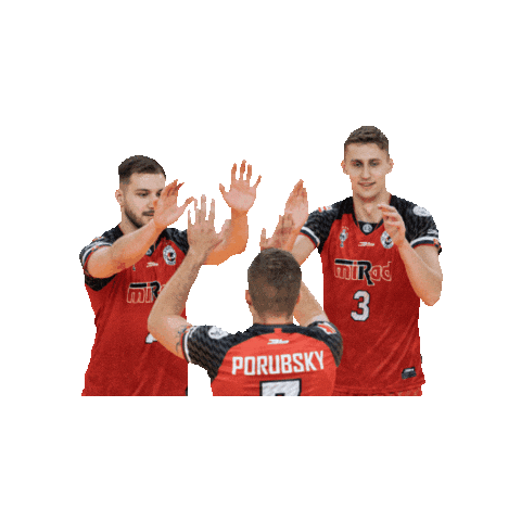 Volleyball Players Sticker by VK MIRAD UNIPO Prešov